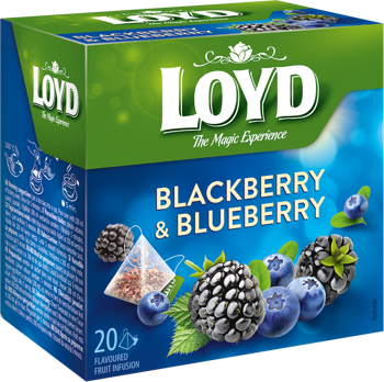 cumpără LOYD Blackberry & Blueberry, 20 pac. în Chișinău 