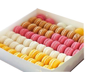 Set Macarons in cutie Maxi size 