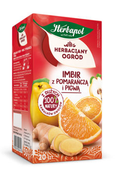 cumpără Ceai de fructe Tea Garden Ginger with Orange and Quince, 20 plicuri în Chișinău 