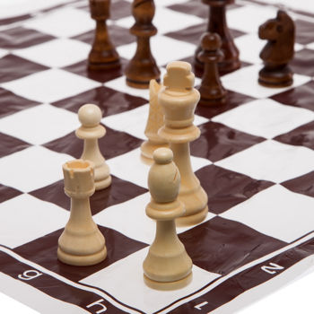 Шахматные фигуры деревянные (пешка 5 см, король 9 см) + полотно 48x49.5 см 305P (8982) 
