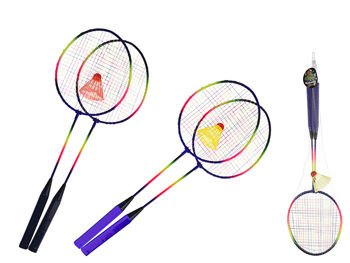 Set palete badminton si fluturas, in plasa 