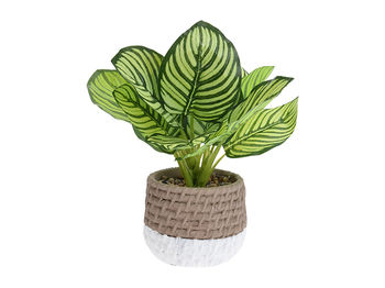 Floare artificiala "Calathea" 28X26cm 