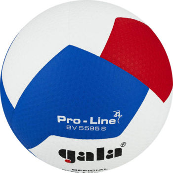 Мяч волейбольный №5 Gala Pro-Line FIVB Approved 5595 (8999) 