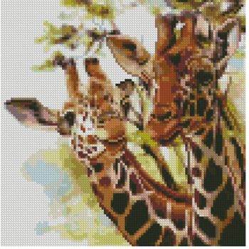 Два жирафа, 30x30 см, алмазная мозаика Артукул: CA0002 