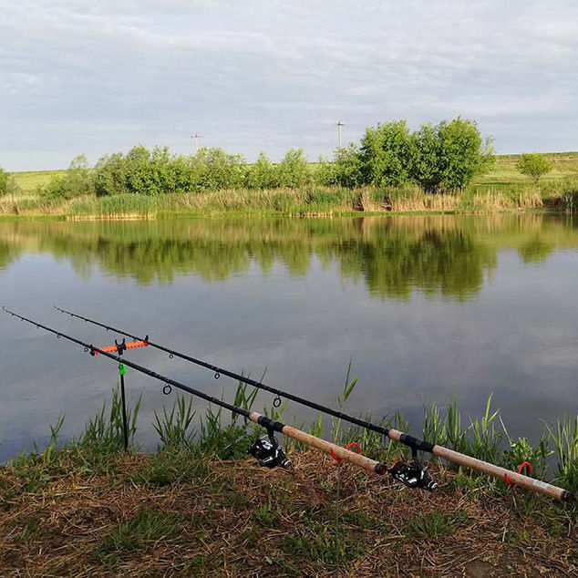 Lansete la feeder