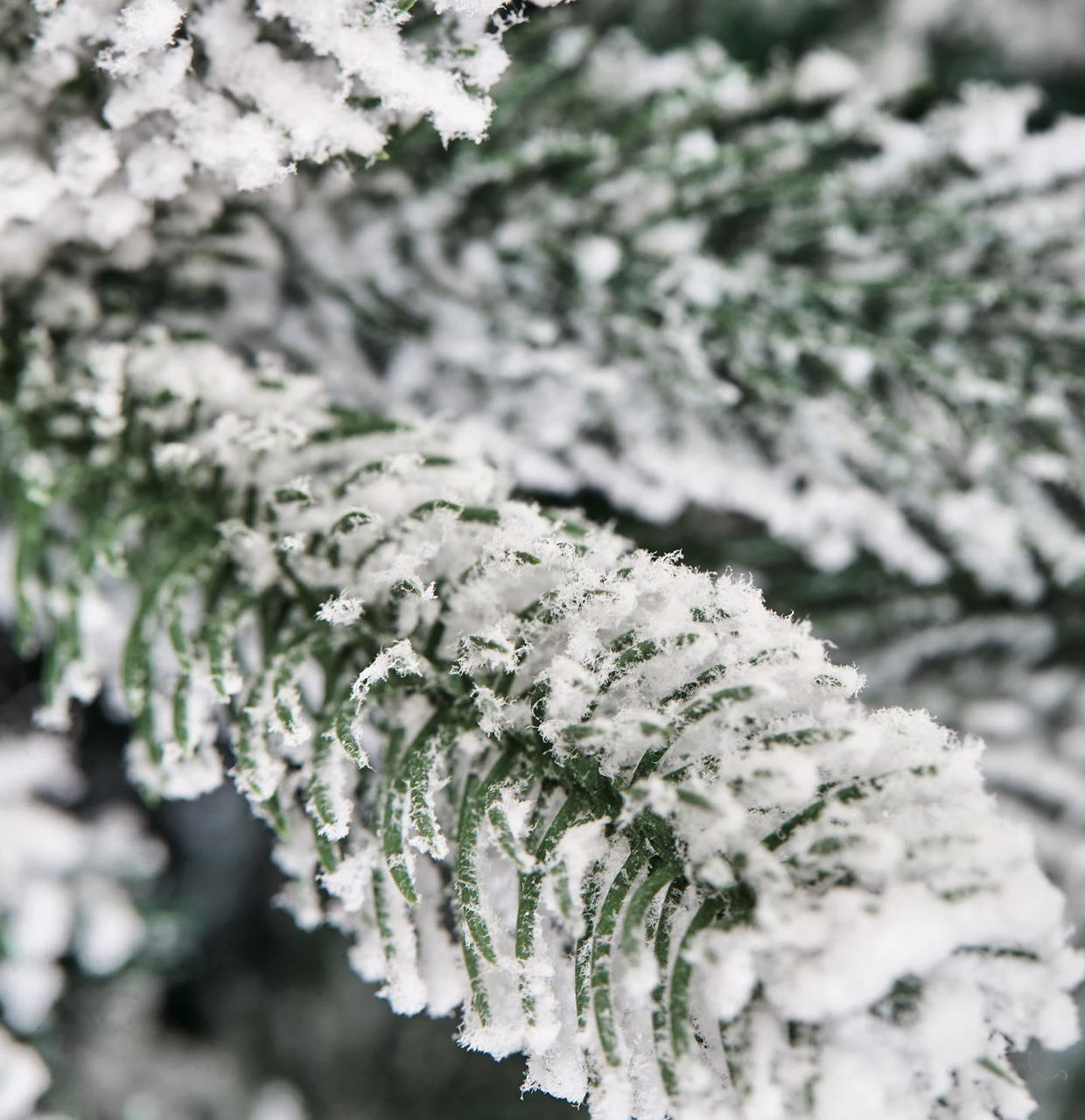 Decor de Crăciun și Anul Nou Divi Trees Crown Garland Snow cumpăra la ...