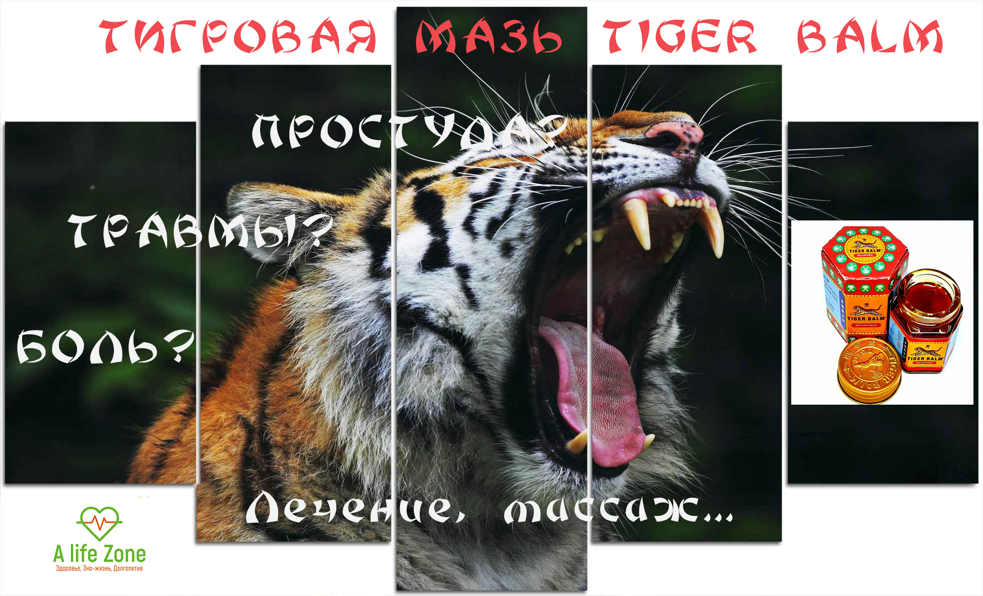 Unguent de tigru din articulații - BABYPOL : BebeTei