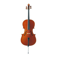 Violoncel