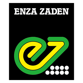 Enza zaden (olanda)