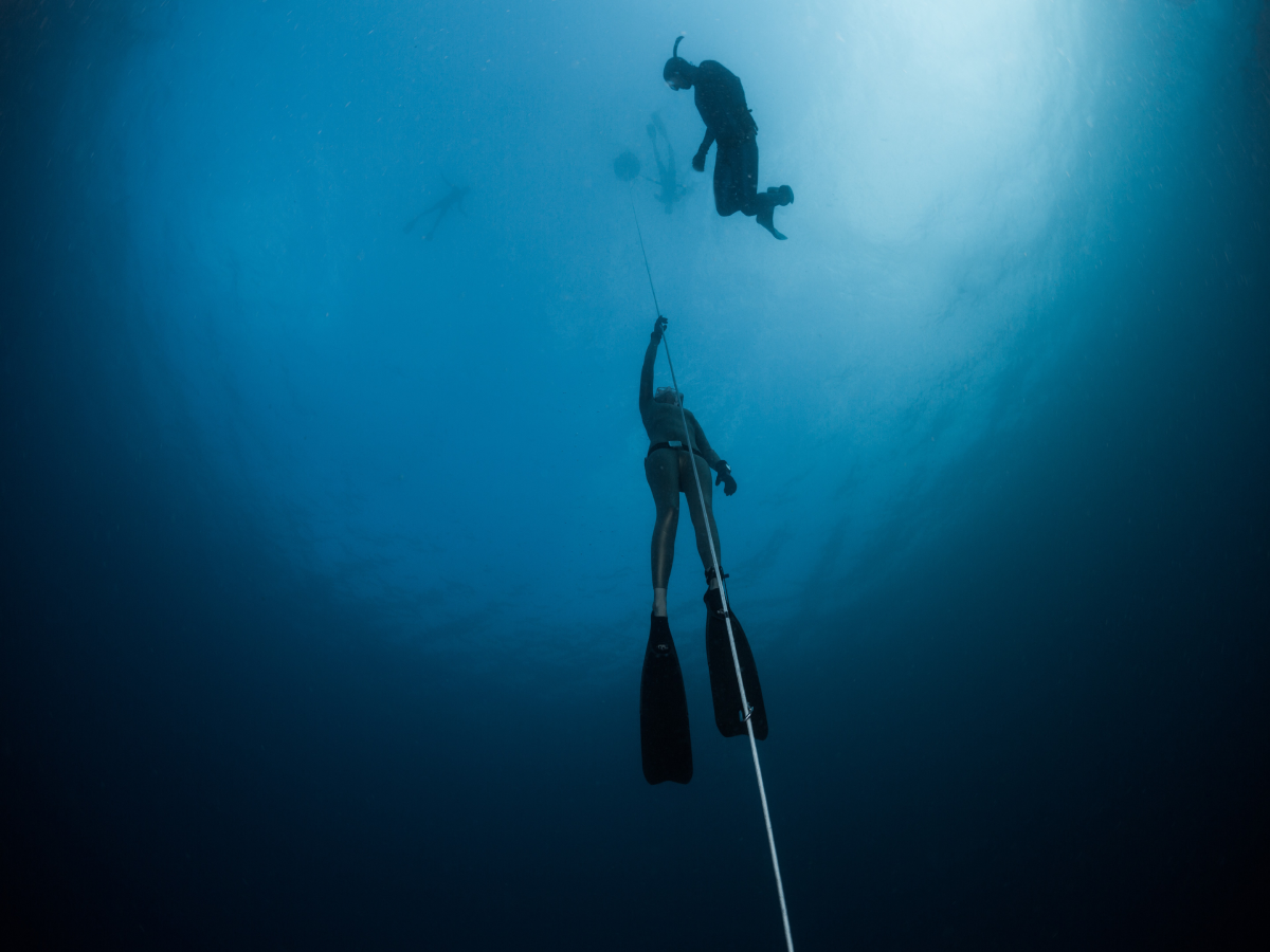 In deep water, free divers' heart rates fall as low as seals