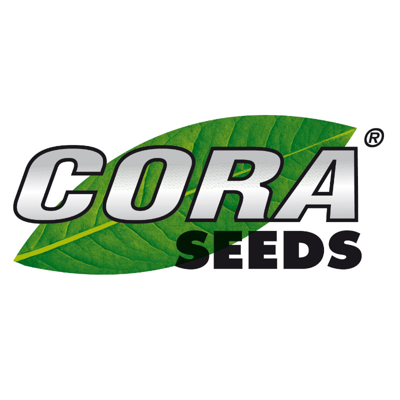 Cora seeds (italia)