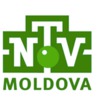 НТВ - NTV Moldova