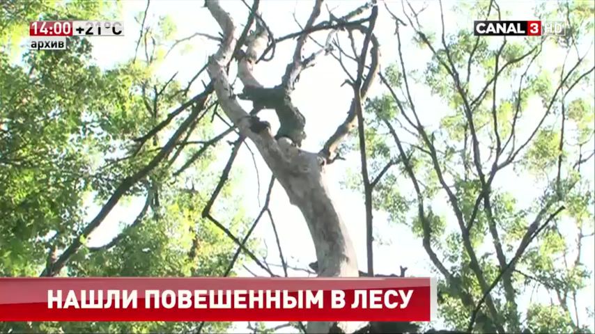 В курске нашли повешенных детей. Дети повешены на дереве. В курске нашли повешенных детей. В курске нашли повешенных детей. В курске нашли повешенных детей.