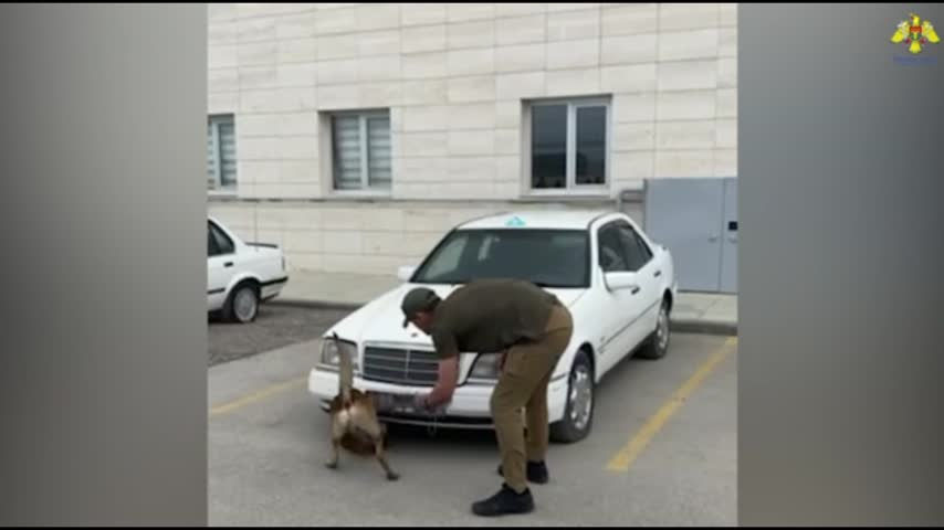 Echipa canină din cadrul Serviciului Vamal al Republicii Moldova