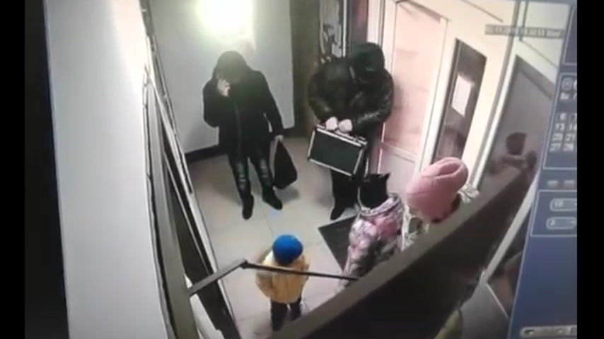 Питбуль Набросился На Шпица
