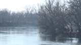 Уровень Днестра достиг исторического максимума для зимы
