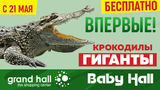 Grand Hall: Впервые в Молдове крокодилы-гиганты: вход свободный ®