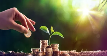 Fermierii au primit subvenții de peste 178 milioane de lei în luna mai