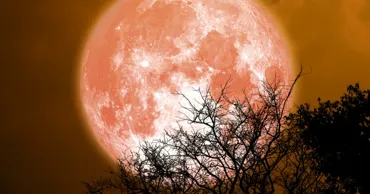 Luna plină din iunie 2026 este „Luna Căpșună”. Când poate fi admirată