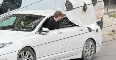 В центре Кишинёва сильный ветер повредил линии электропередачи: пострадали автомобили