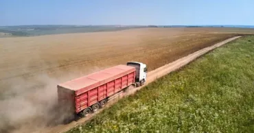 Economist: Scad costurile pentru fermieri, dar și prețurile cerealelor