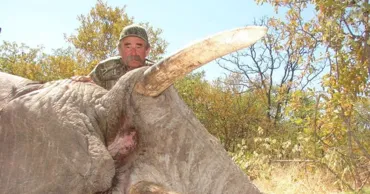 Миллионера из США затоптали слоны на охоте в Африке