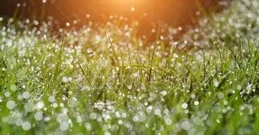 Meteo 28 august 2026: Va ploua slab în unele zone. Ce temperaturi sunt prognozate