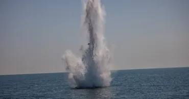 Мируцэ: В Румынии уничтожили еще пять морских дронов в Черном море