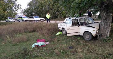 В Фалештском районе автомобиль врезался в дерево.