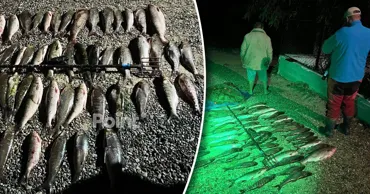 На Днестре пресекли незаконный вылов рыбы: 690 тысяч леев ущерба