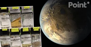 Viața fără apă: Astrobiologii au descoperit o alternativă la lichidul principal al Universului