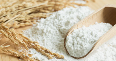Рижа: В Молдове экспорт пшеничной муки превысил импорт