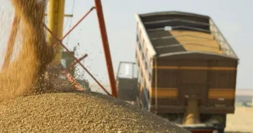 Produsele agroalimentarele domină exporturile din Republica Moldova