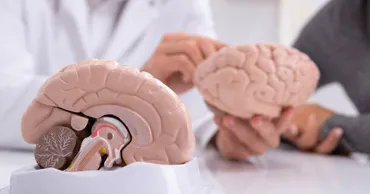 Врач назвала три привычки для сохранения здоровья мозга