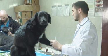 Новые вольеры появятся в столичном некрополе.