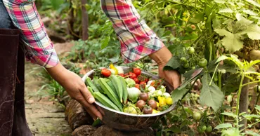 Moldova lansează o școală pentru fermierii interesați de agricultura ecologică