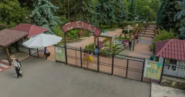 Fructe înghețate, dușuri și piscine: Cum sunt răcorite animalele la Zoo