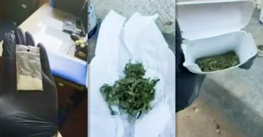 Percheziții la Drochia: Patru persoane, bănuite de trafic de droguri