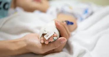 Ребенок, на которого упало дерево в Кишиневском зоопарке, находится в реанимации