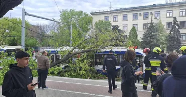 В центре Кишинёва дерево упало на троллейбус