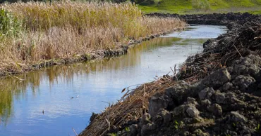 Агентство Apele Moldovei получило право ликвидации водоемов