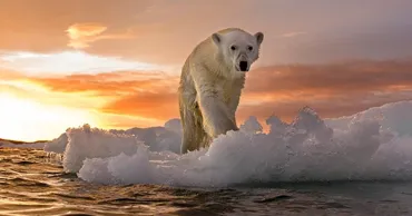 Обнаружены признаки ускорения глобального потепления