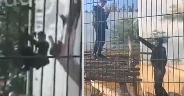 Пьяный украинец ради эффектных селфи забрался в вольер ко львам. Фото: Point.md.