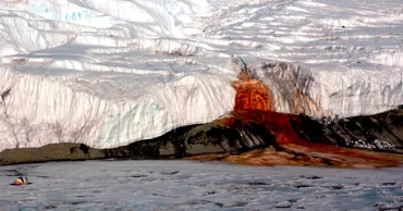 Cercetătorii explică de ce „sângerează” un ghețar din Antarctica