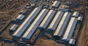 Доклад: 90% мигрантов, отправленных в лагерь ICE в Техасе, подвергались насилию