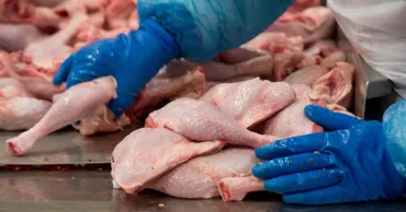 Moldova și Ucraina au convenit asupra măsurilor de reluare a exporturilor de carne