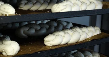De la câmp la raft: Drumul pâinii, de la bobul de grâu până pe masa moldovenilor