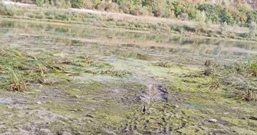На Днестре значительно снизился уровень воды: власти следят за ситуацией