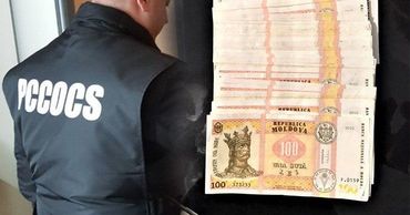 Представлены итоги обысков в столичной компании недвижимости