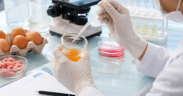 Hotelul din Chișinău, după focarul de Salmonella: Așteptăm rezultatele verificărilor